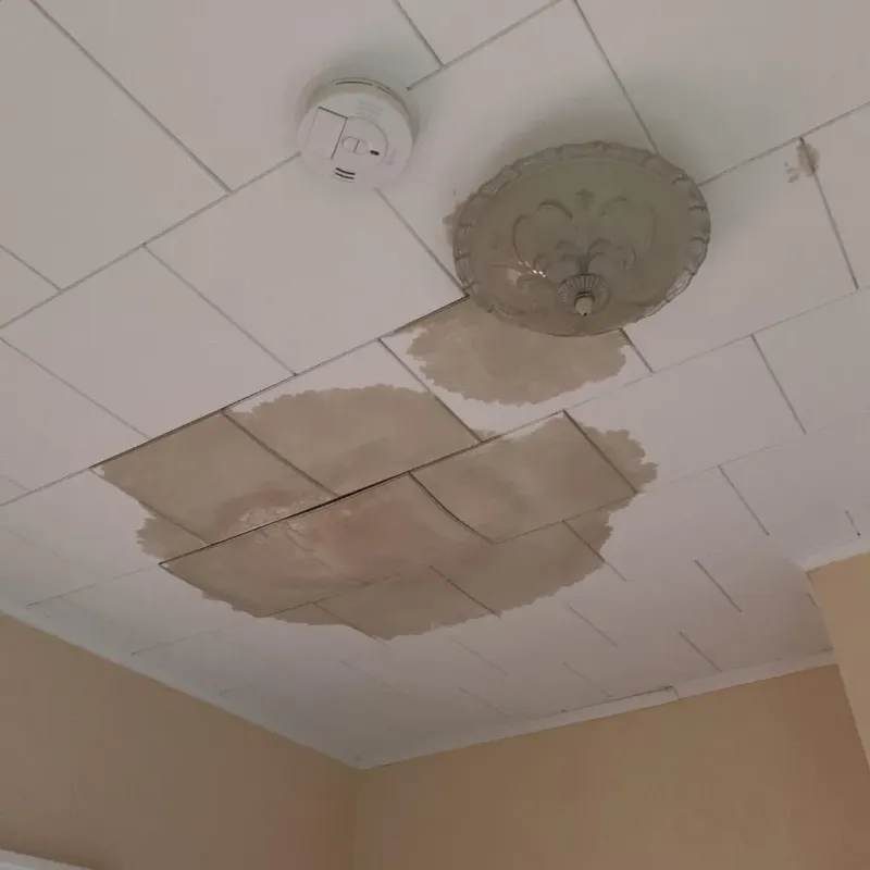 Ceiling Water Damage Repair in Sand Springs, OK