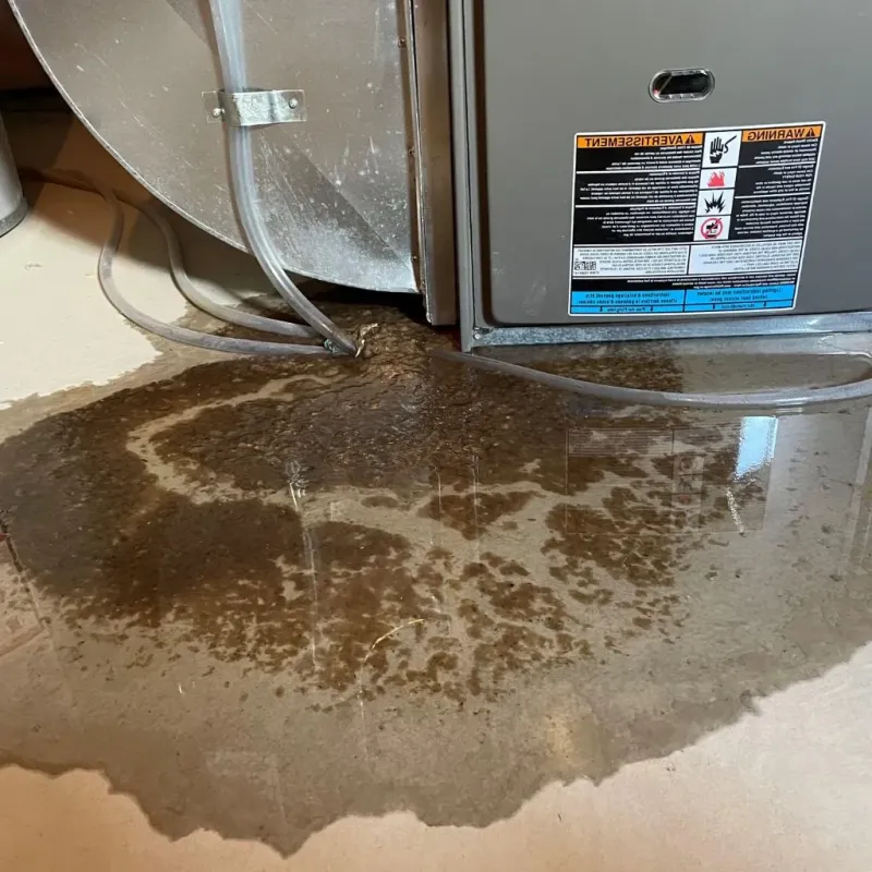 Pipe Burst and Leak Restoration in Sand Springs, OK